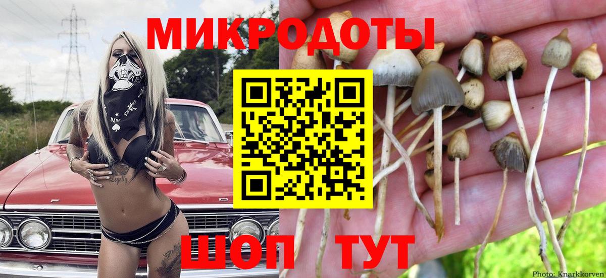 Галлюциногенные грибы Magic Shrooms Нягань