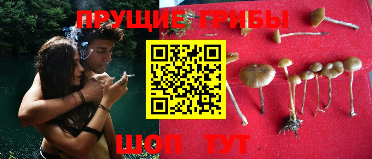 Псилоцибиновые грибы Psilocybe  Вход с VPN  Псилоцибиновые грибы GOLDEN TEACHER  Нягань 